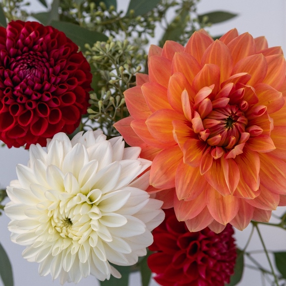 floralou922